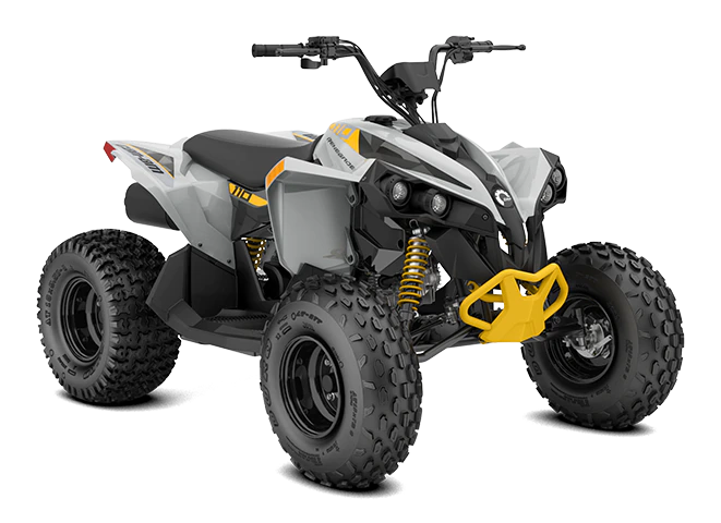 ORV-ATV-MY23-Can-Am-Renegade-STD-110EFI-Catalyst-Gray-Neo-Yellow-0003CPC00-34FR-INTL